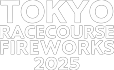 東京競馬場花火2025